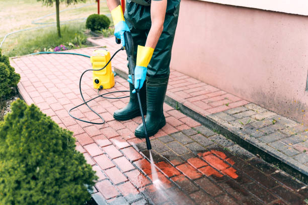 Animal Enclosure Cleaning in Marmet, WV